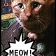 Image for article titled Shooting Challenge: Repurposed Cheesy Photo Filters 2